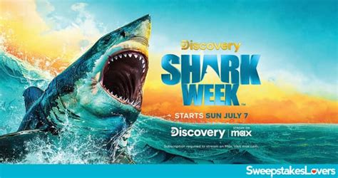 valpak shark week sweepstakes|Valpak Shark Week Sweepstakes 2024.